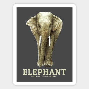 Save the beautiful wildlife Save the elephant Magnet